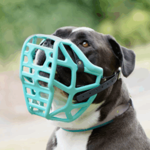 Muzzle Movement maat Mitzy