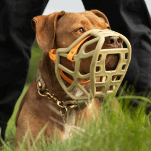 Muzzle Movement maat Harry 2.0