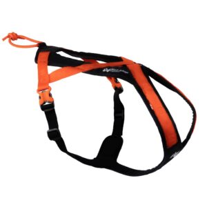 Rush Harness - Non Stop Dogwear